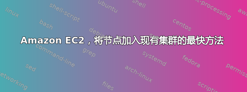 Amazon EC2，将节点加入现有集群的最快方法