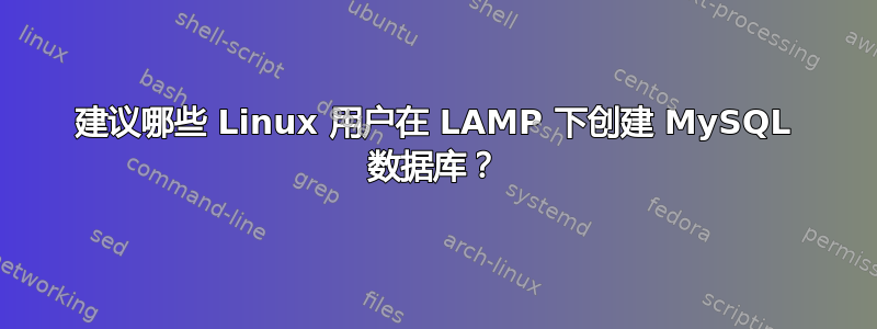 建议哪些 Linux 用户在 LAMP 下创建 MySQL 数据库？