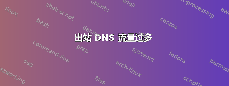 出站 DNS 流量过多