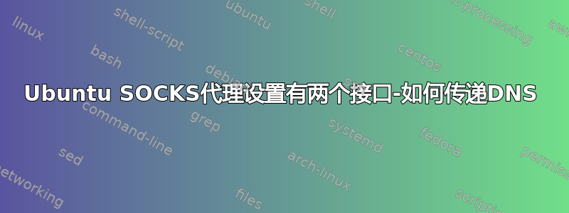 Ubuntu SOCKS代理设置有两个接口-如何传递DNS