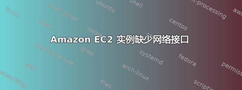 Amazon EC2 实例缺少网络接口