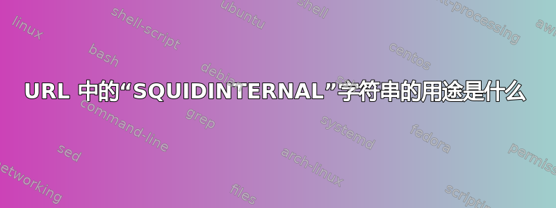 URL 中的“SQUIDINTERNAL”字符串的用途是什么