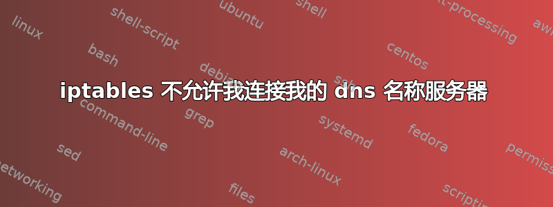 iptables 不允许我连接我的 dns 名称服务器