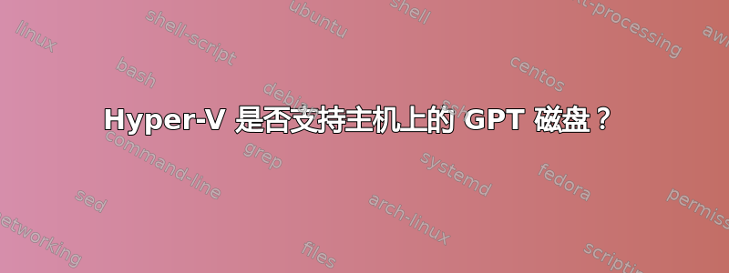 Hyper-V 是否支持主机上的 GPT 磁盘？