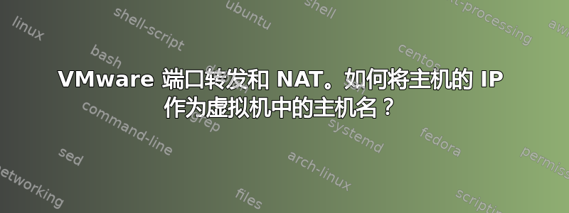 VMware 端口转发和 NAT。如何将主机的 IP 作为虚拟机中的主机名？