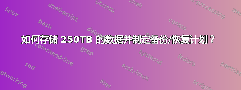 如何存储 250TB 的数据并制定备份/恢复计划？