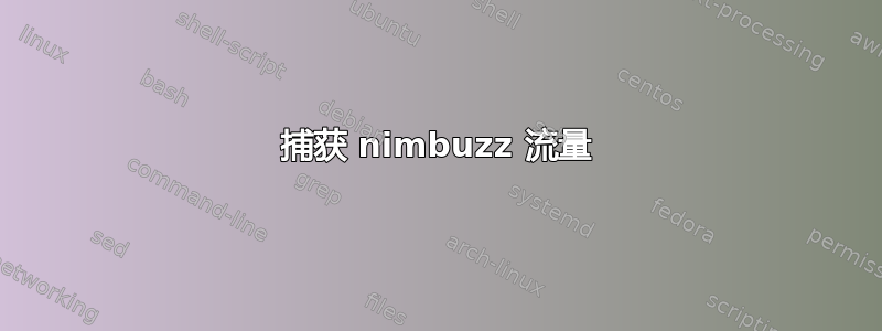 捕获 nimbuzz 流量