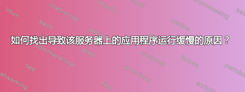 如何找出导致该服务器上的应用程序运行缓慢的原因？