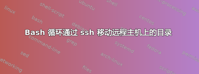 Bash 循环通过 ssh 移动远程主机上的目录