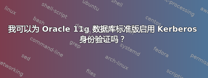 我可以为 Oracle 11g 数据库标准版启用 Kerberos 身份验证吗？