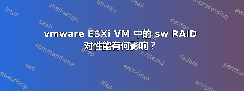 vmware ESXi VM 中的 sw RAID 对性能有何影响？