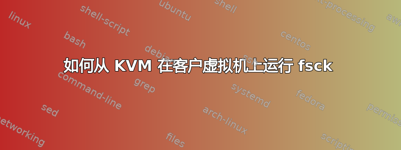 如何从 KVM 在客户虚拟机上运行 fsck