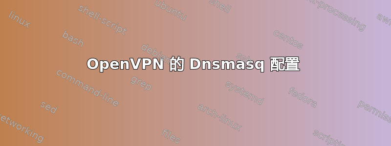 OpenVPN 的 Dnsmasq 配置