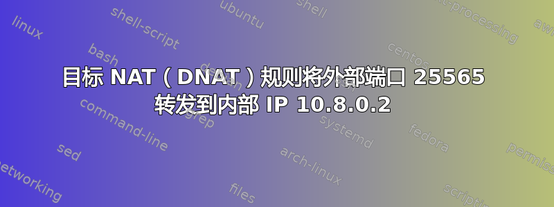 目标 NAT（DNAT）规则将外部端口 25565 转发到内部 IP 10.8.0.2