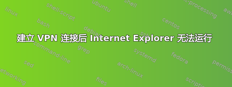 建立 VPN 连接后 Internet Explorer 无法运行