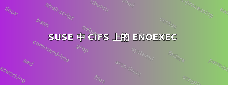 SUSE 中 CIFS 上的 ENOEXEC