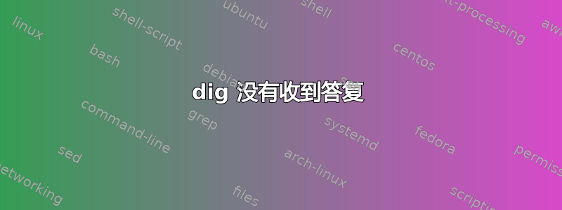 dig 没有收到答复