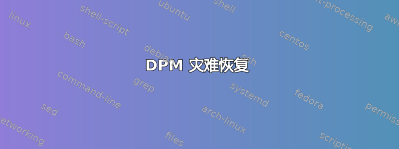 DPM 灾难恢复