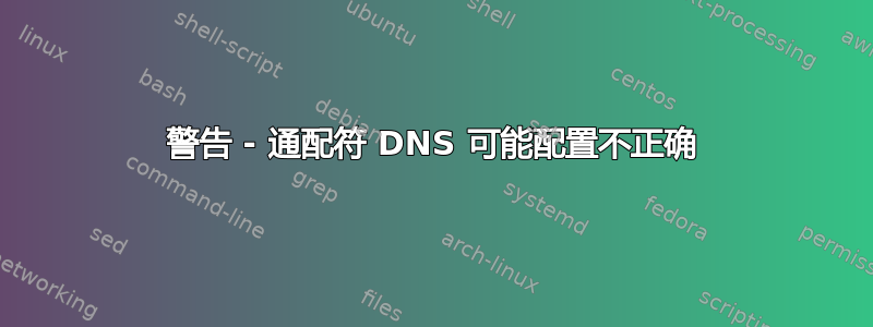 警告 - 通配符 DNS 可能配置不正确