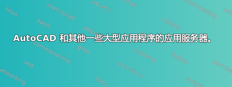 AutoCAD 和其他一些大型应用程序的应用服务器。