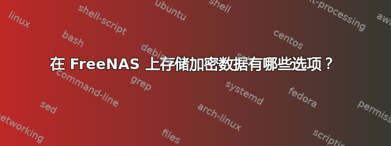 在 FreeNAS 上存储加密数据有哪些选项？