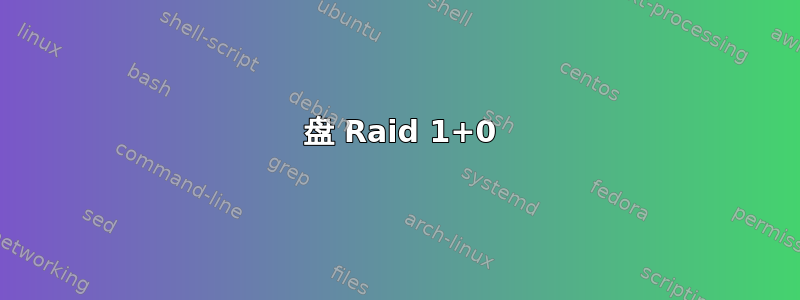 6 盘 Raid 1+0