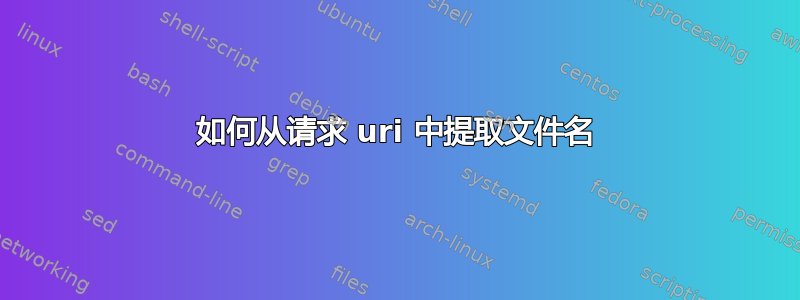 如何从请求 uri 中提取文件名