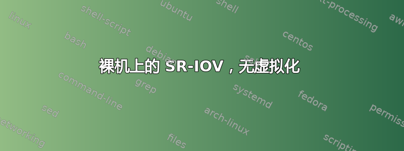 裸机上的 SR-IOV，无虚拟化