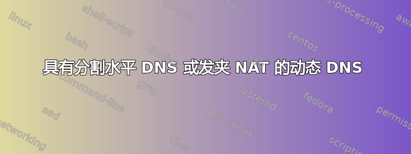 具有分割水平 DNS 或发夹 NAT 的动态 DNS