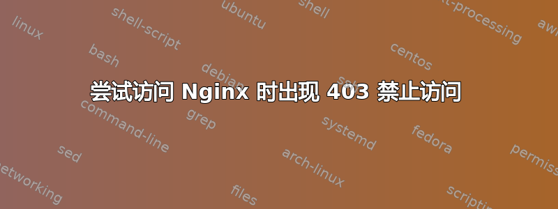 尝试访问 Nginx 时出现 403 禁止访问