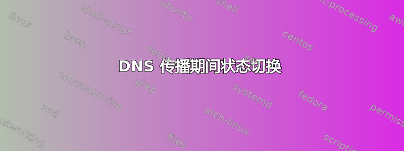 DNS 传播期间状态切换