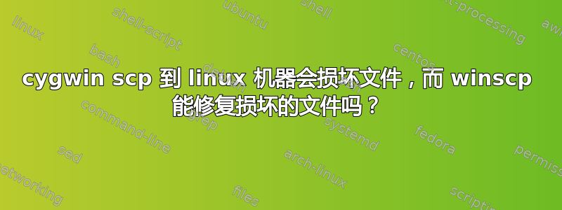 cygwin scp 到 linux 机器会损坏文件，而 winscp 能修复损坏的文件吗？