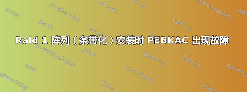 Raid 1 阵列（条带化）安装时 PEBKAC 出现故障