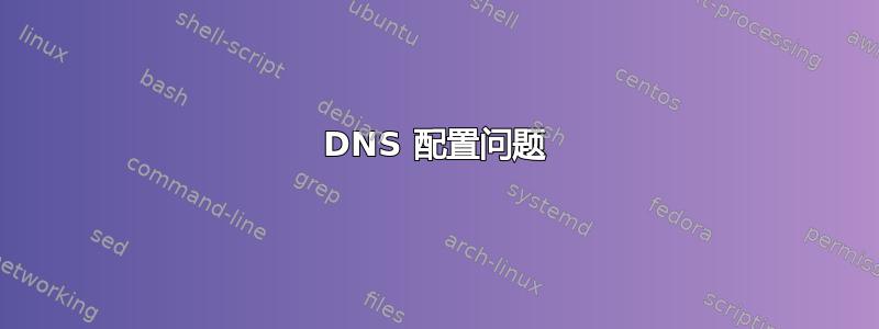 DNS 配置问题