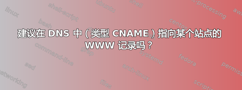 建议在 DNS 中（类型 CNAME）指向某个站点的 WWW 记录吗？