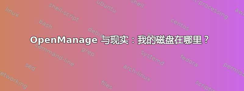 OpenManage 与现实：我的磁盘在哪里？