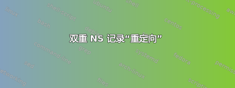 双重 NS 记录“重定向”