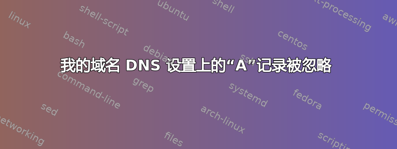 我的域名 DNS 设置上的“A”记录被忽略