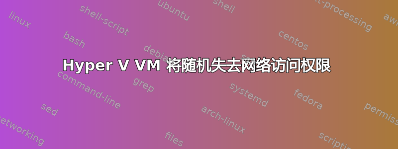 Hyper V VM 将随机失去网络访问权限