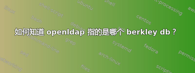 如何知道 openldap 指的是哪个 berkley db？