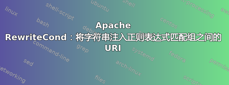 Apache RewriteCond：将字符串注入正则表达式匹配组之间的 URI