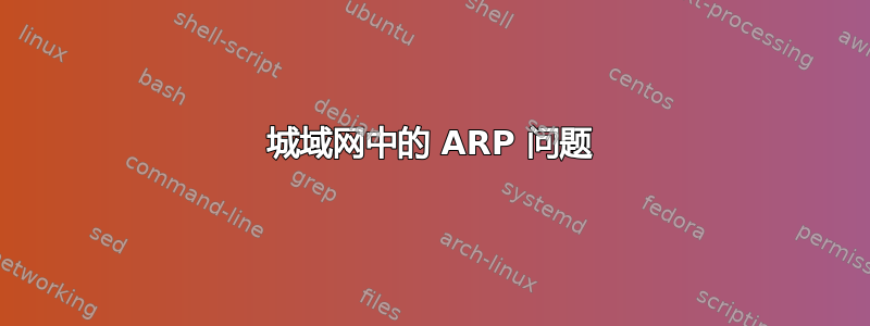 城域网中的 ARP 问题