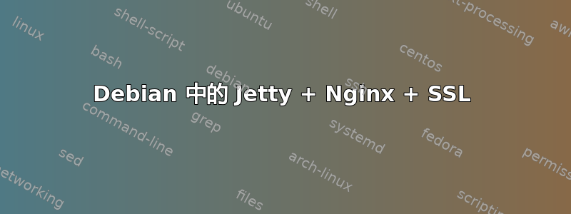 Debian 中的 Jetty + Nginx + SSL