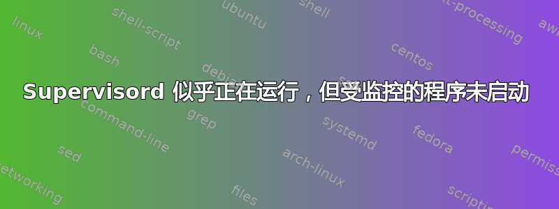 Supervisord 似乎正在运行，但受监控的程序未启动