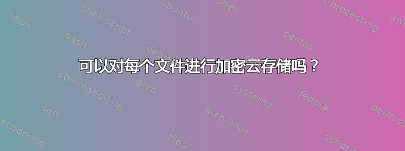 可以对每个文件进行加密云存储吗？