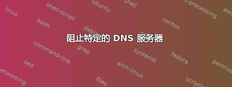 阻止特定的 DNS 服务器