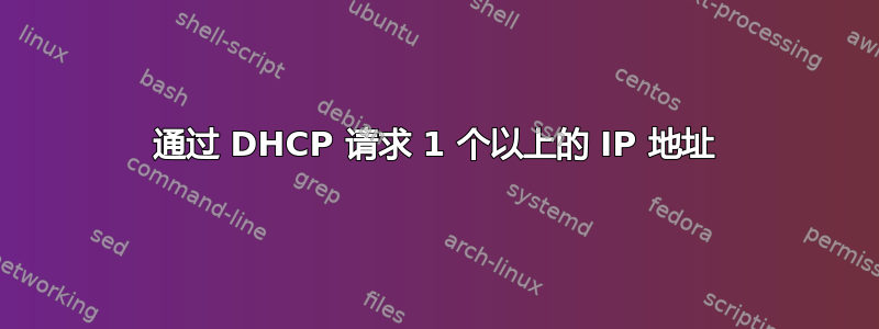 通过 DHCP 请求 1 个以上的 IP 地址