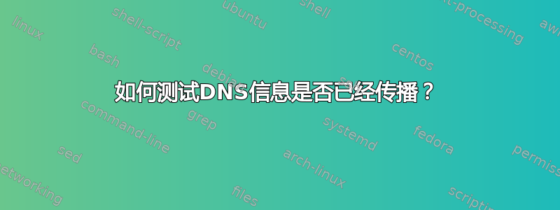 如何测试DNS信息是否已经传播？