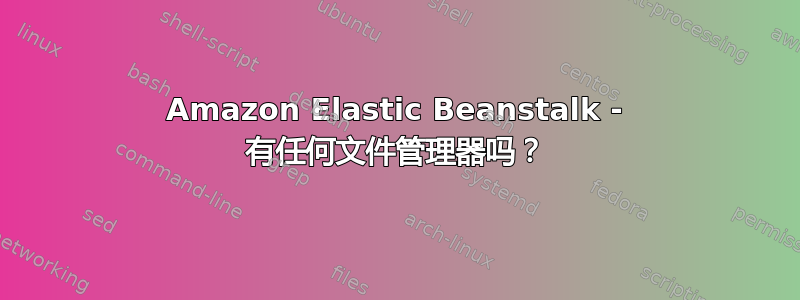 Amazon Elastic Beanstalk - 有任何文件管理器吗？