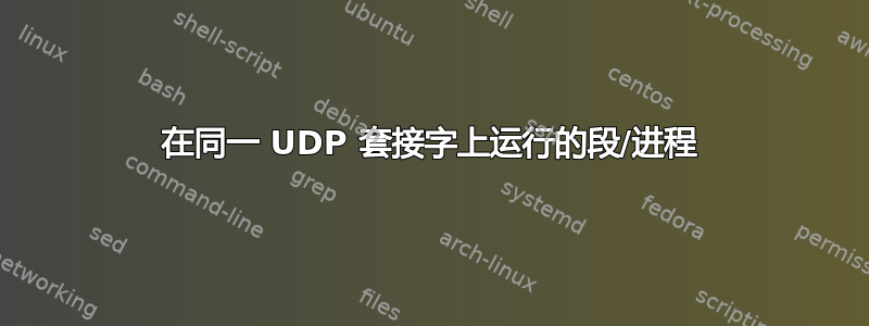 在同一 UDP 套接字上运行的段/进程